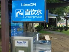 -万绿园