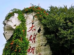 -贡湖湾湿地公园