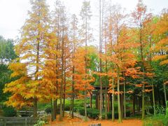-宝界山林公园