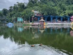 -西双版纳原始森林公园