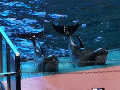 -福州罗源湾海洋世界旅游区