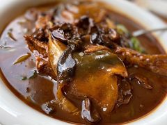 河豚鱼-莆鑫海鲜城(浏河店)