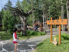 -长白山聚龙火山温泉