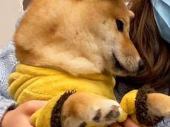 -浣熊柯尔鸭土拨鼠·电玩咖