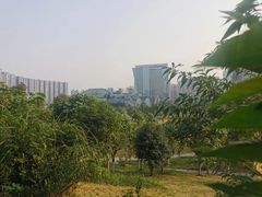 -桂溪生态公园