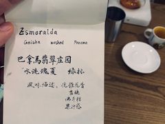 巴拿马翡翠庄园水洗玫夏-月球咖啡retro