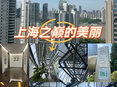 -上海中心大厦