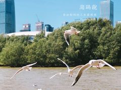-深圳湾公园(南山区)
