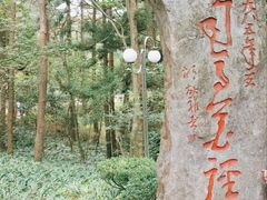 -庐山风景区花径公园