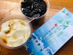 -广州市流溪河国家森林公园