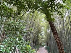 -四门塔风景区