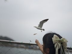 -海驴岛(荣成市)