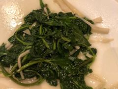 枸杞头炒冬笋-梅龙镇酒家(南京西路总店)