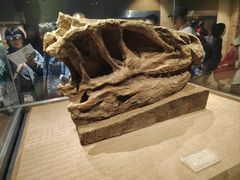 -自贡恐龙博物馆