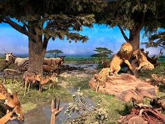 -国家自然博物馆