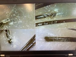 -章光101防脱养发荟