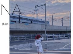 -海堤纪念公园