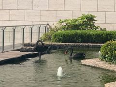 -行者书屋大堂吧 ·下午茶(南京圣和府邸酒店)