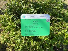 -广东中医药博物馆