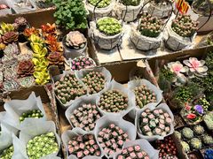 -循礼门鲜花花市(武汉循礼门店)