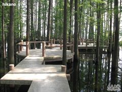 -东湖落雁景区