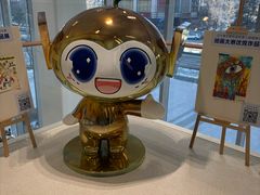 -东北大学附属辽宁爱尔眼科医院