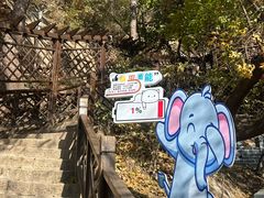 -青岩寺风景区