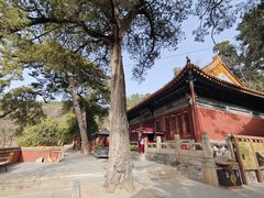 -潭柘寺景区