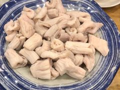 羊肚仁-金生隆(六铺炕店)