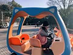 -上海海湾国家森林公园