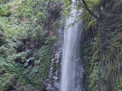 -莫里热带雨林景区