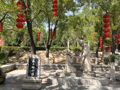 -大槐树寻根祭祖园