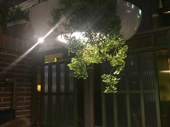 -青叶202都市餐厅(迪诺水镇店)