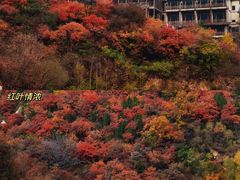 -九如山休闲旅游度假区