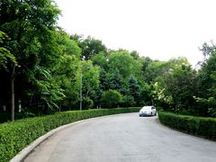 -黑龙江中医药大学