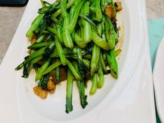 生炒广东菜心-大树餐厅(红旗街万达店)