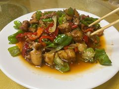 -煲来饱去冷水鱼