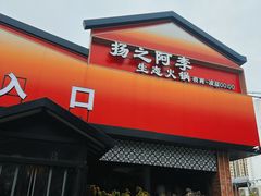 -扬之阿李菌汤火锅(1969店)