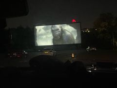 -枫花园汽车电影院(朝阳公园店)