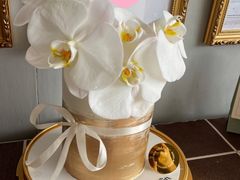 -Biteology Artisan Cakes(红庄·国际文化保税创新园店)