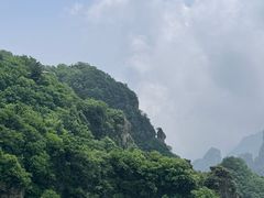 -王莽岭风景区