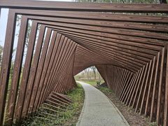 -昆山城市生态森林公园