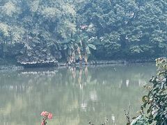 -海珠湖公园
