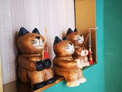 -飞行喵MR PILOT|猫舍·猫咖(静安大融城店)