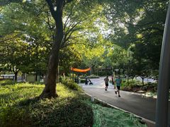 -苏州河梦清园环保主题公园