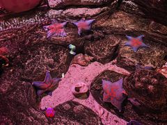 -沈阳海洋探索中心