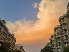 -珍记海鲜粥·海鲜粉