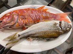 -吴记富苑(朝阳店)