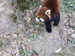 -宁波野生动物园