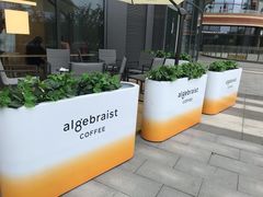 -代数学家algebraist(仙林金鹰店)